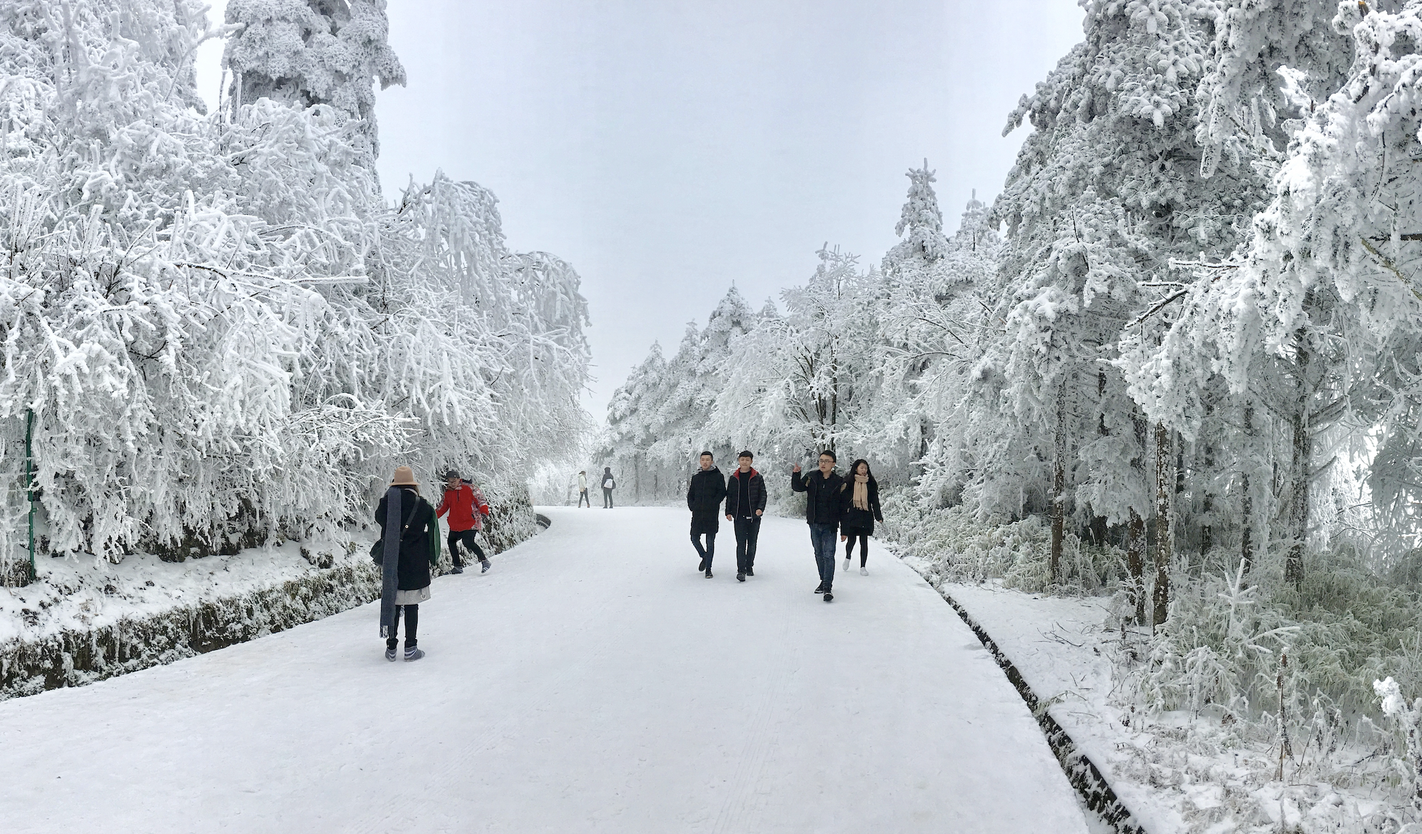 Khách Việt không dám mặc áo hoa lên núi Nga Mi khi du lịch Trung Quốc - Ảnh 3. Khách Việt không dám mặc áo hoa lên núi Nga Mi khi du lịch Trung Quốc - Ảnh 3.