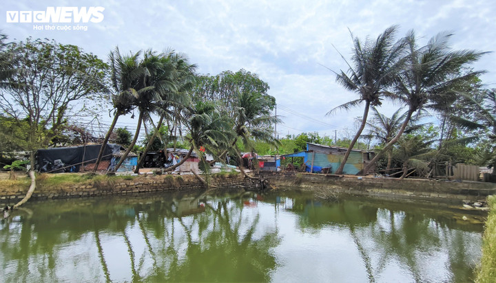 Người dân Đầm Thị Nại vẫn khốn khổ vì dự án bị thu hồi gần 2 năm - Ảnh 8. Người dân Đầm Thị Nại vẫn khốn khổ vì dự án bị thu hồi gần 2 năm - Ảnh 8.