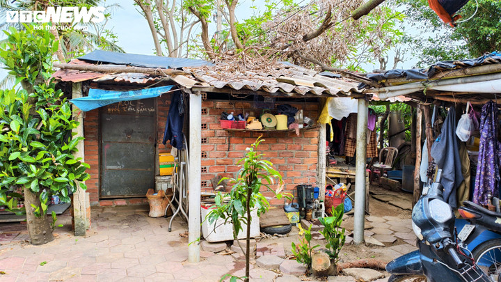 Người dân Đầm Thị Nại vẫn khốn khổ vì dự án bị thu hồi gần 2 năm - Ảnh 11. Người dân Đầm Thị Nại vẫn khốn khổ vì dự án bị thu hồi gần 2 năm - Ảnh 11.