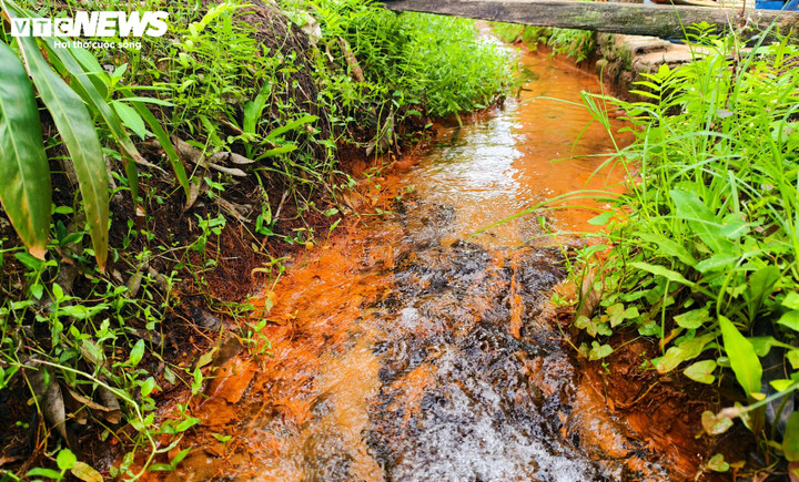 Người dân Đầm Thị Nại vẫn khốn khổ vì dự án bị thu hồi gần 2 năm - Ảnh 6. Người dân Đầm Thị Nại vẫn khốn khổ vì dự án bị thu hồi gần 2 năm - Ảnh 6.