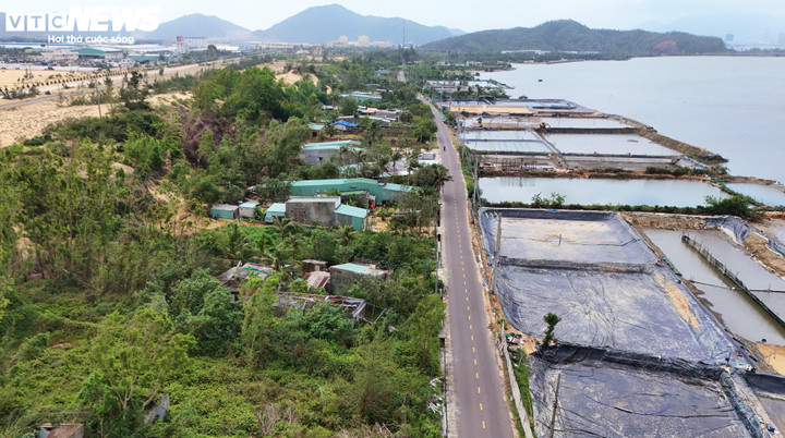 Người dân Đầm Thị Nại vẫn khốn khổ vì dự án bị thu hồi gần 2 năm - Ảnh 1. Người dân Đầm Thị Nại vẫn khốn khổ vì dự án bị thu hồi gần 2 năm - Ảnh 1.