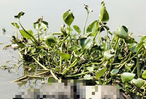 Thi thể trôi sông TPHCM: Điều tra vụ việc đau lòng - Ảnh 1.