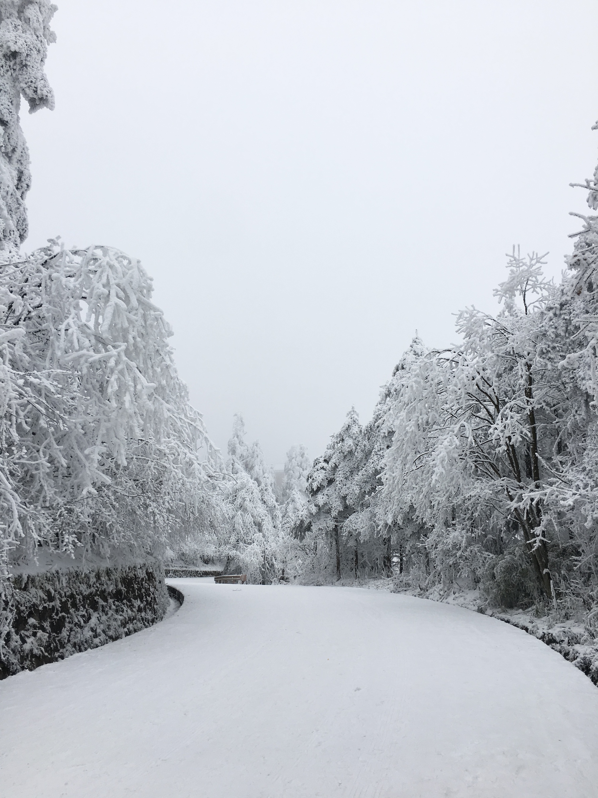Khách Việt không dám mặc áo hoa lên núi Nga Mi khi du lịch Trung Quốc - Ảnh 2. Khách Việt không dám mặc áo hoa lên núi Nga Mi khi du lịch Trung Quốc - Ảnh 2.