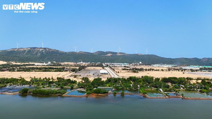 Người dân Đầm Thị Nại vẫn khốn khổ vì dự án bị thu hồi gần 2 năm - Ảnh 14. Người dân Đầm Thị Nại vẫn khốn khổ vì dự án bị thu hồi gần 2 năm - Ảnh 14.