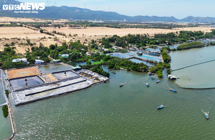 Người dân Đầm Thị Nại vẫn khốn khổ vì dự án bị thu hồi gần 2 năm - Ảnh 13. Người dân Đầm Thị Nại vẫn khốn khổ vì dự án bị thu hồi gần 2 năm - Ảnh 13.