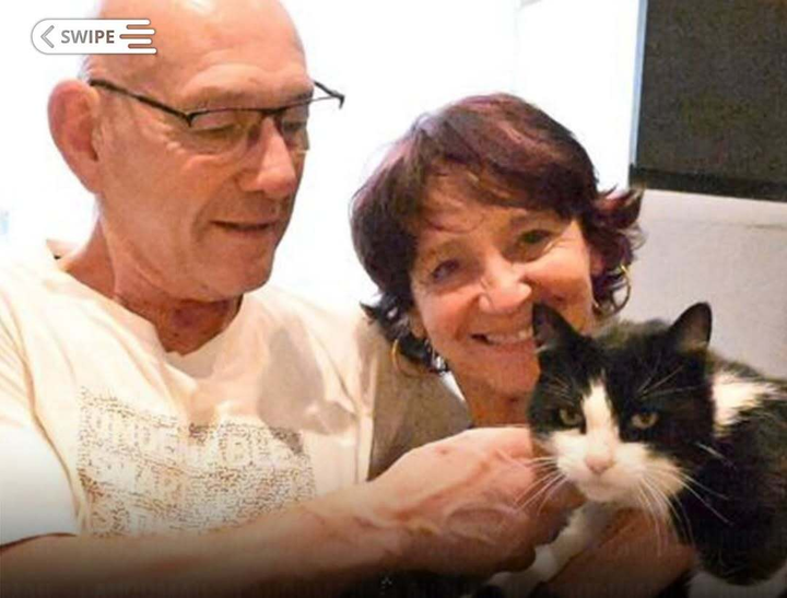 Kỳ tích chú mèo Filou vượt 250km từ Tây Ban Nha về Pháp sau 5 tháng mất tích - Ảnh 1. Kỳ tích chú mèo Filou vượt 250km từ Tây Ban Nha về Pháp sau 5 tháng mất tích - Ảnh 1.