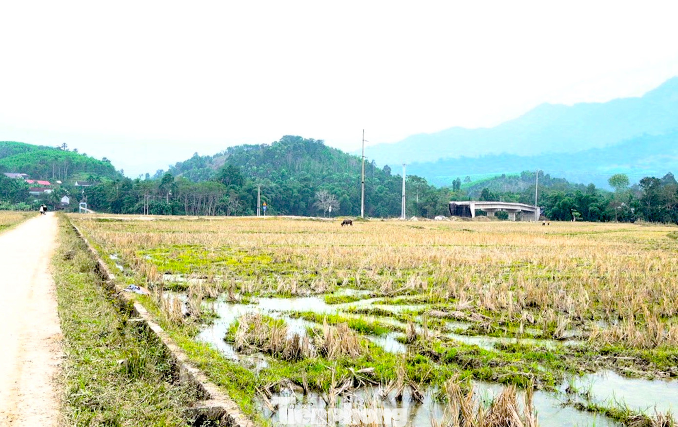 Cầu Na Phày - Đỏn Chám: Tiền tỷ bỏ hoang , dân vẫn khổ vì thiếu đường dẫn - Ảnh 5.