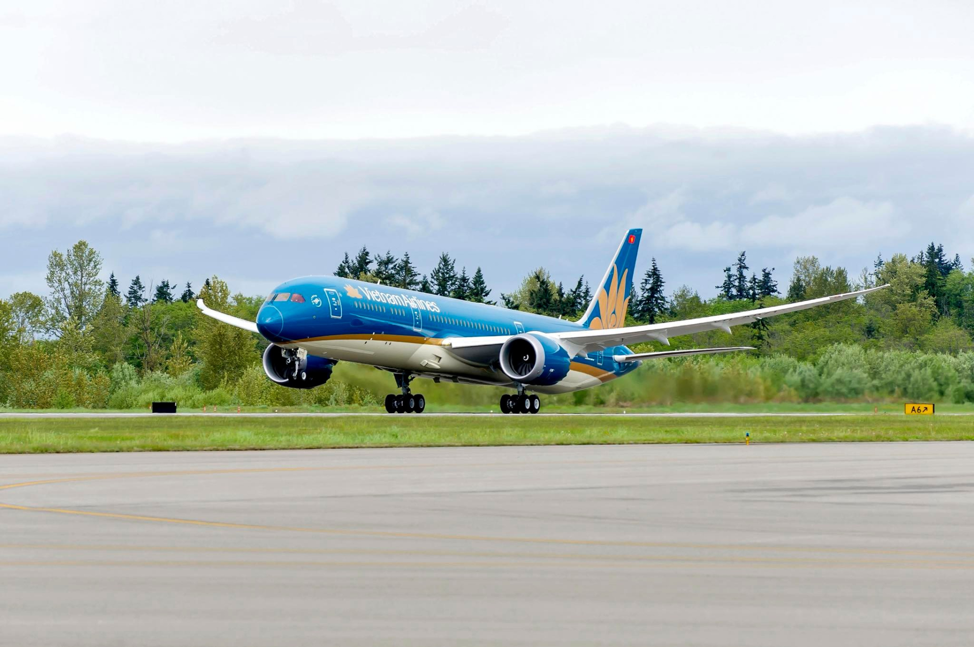 Máy bay Vietnam Airlines quay đầu khẩn cấp vì hành khách gặp sự cố sức khỏe - Ảnh 2. Máy bay Vietnam Airlines quay đầu khẩn cấp vì hành khách gặp sự cố sức khỏe - Ảnh 2.