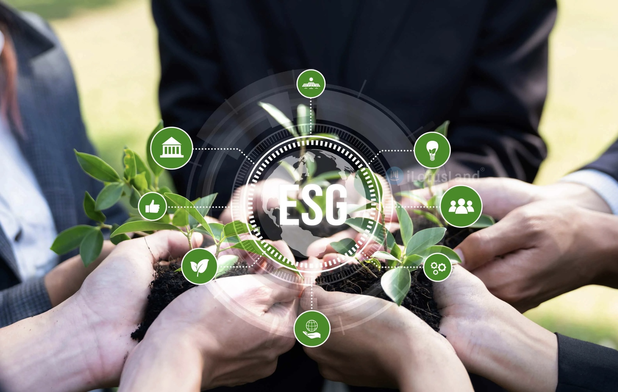 Cathay và ESG châu Á: Định hình tương lai tài chính bền vững tại châu Á - Ảnh 1.