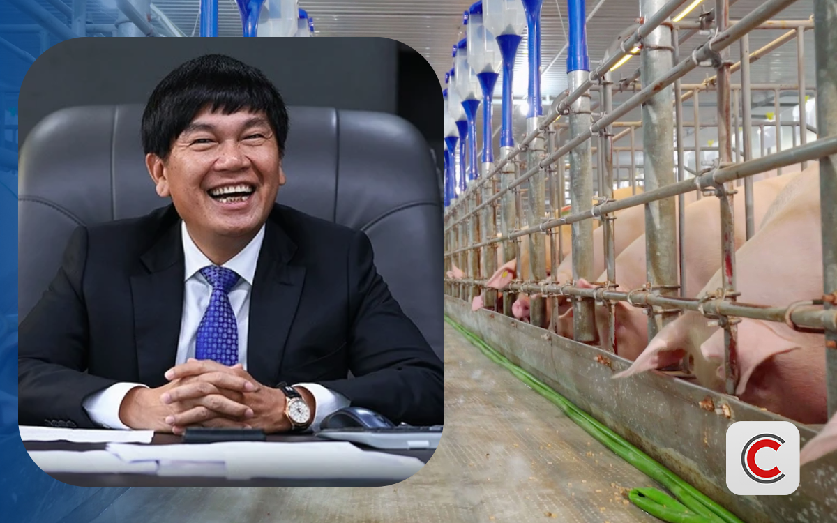 Đàn heo hòa Phát của tỷ phú Trần Đình Long đạt sản lượng kỷ lục năm 2025 - Ảnh 1. Đàn heo hòa Phát của tỷ phú Trần Đình Long đạt sản lượng kỷ lục năm 2025 - Ảnh 1.