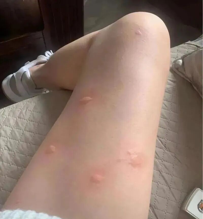 Bất chấp mọi lời khuyên, mua căn hộ tầng một có sân: Sáu tháng sau, chủ nhân phải bật khóc khi rao bán lại