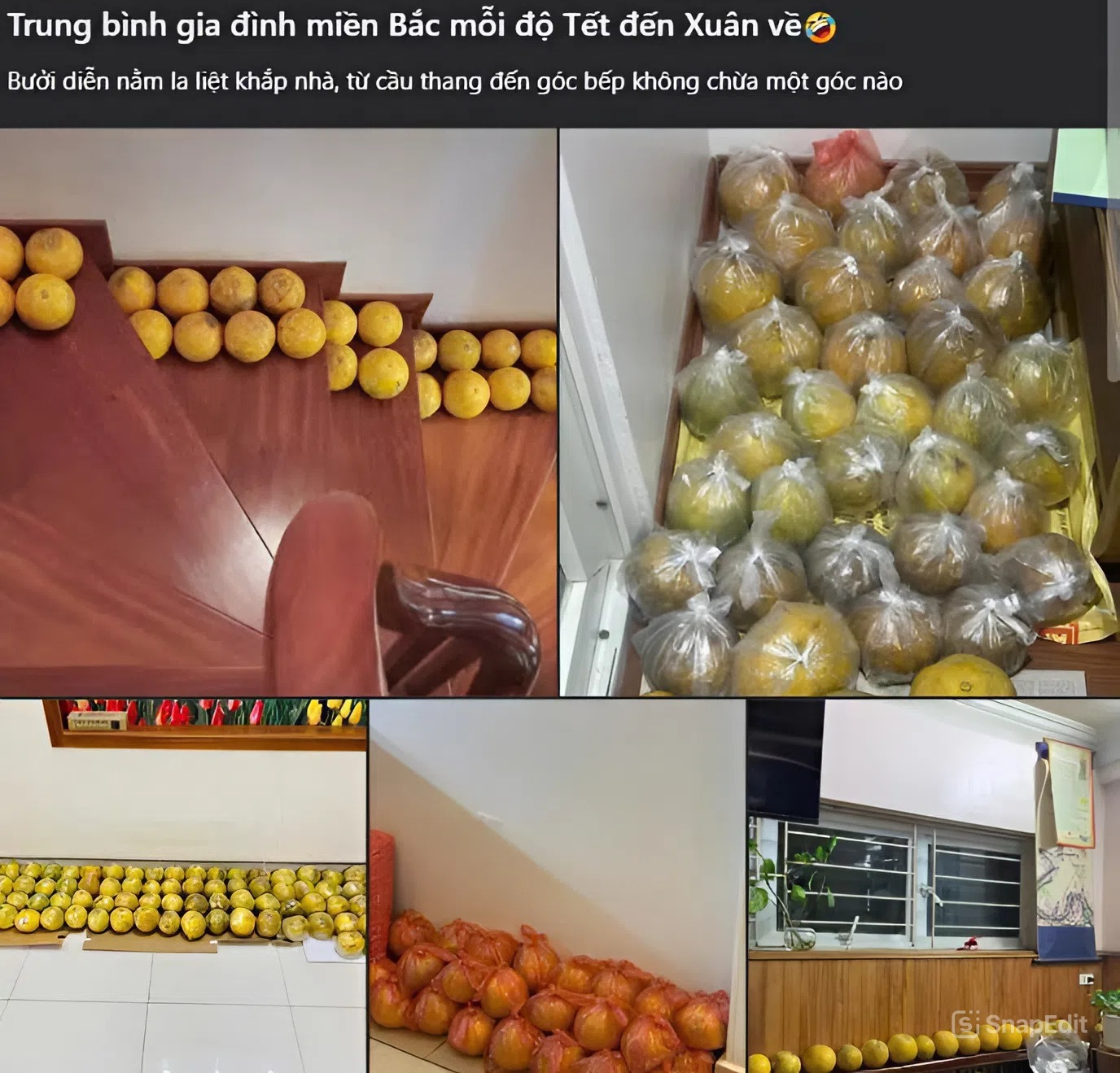 Trung bình nhà miền Bắc ngày Tết: Bưởi diễn chất đầy không gian sống