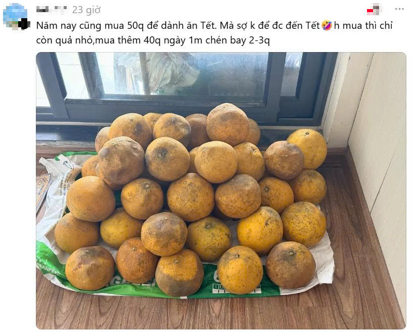 Trung bình nhà miền Bắc ngày Tết: Bưởi diễn chất đầy không gian sống