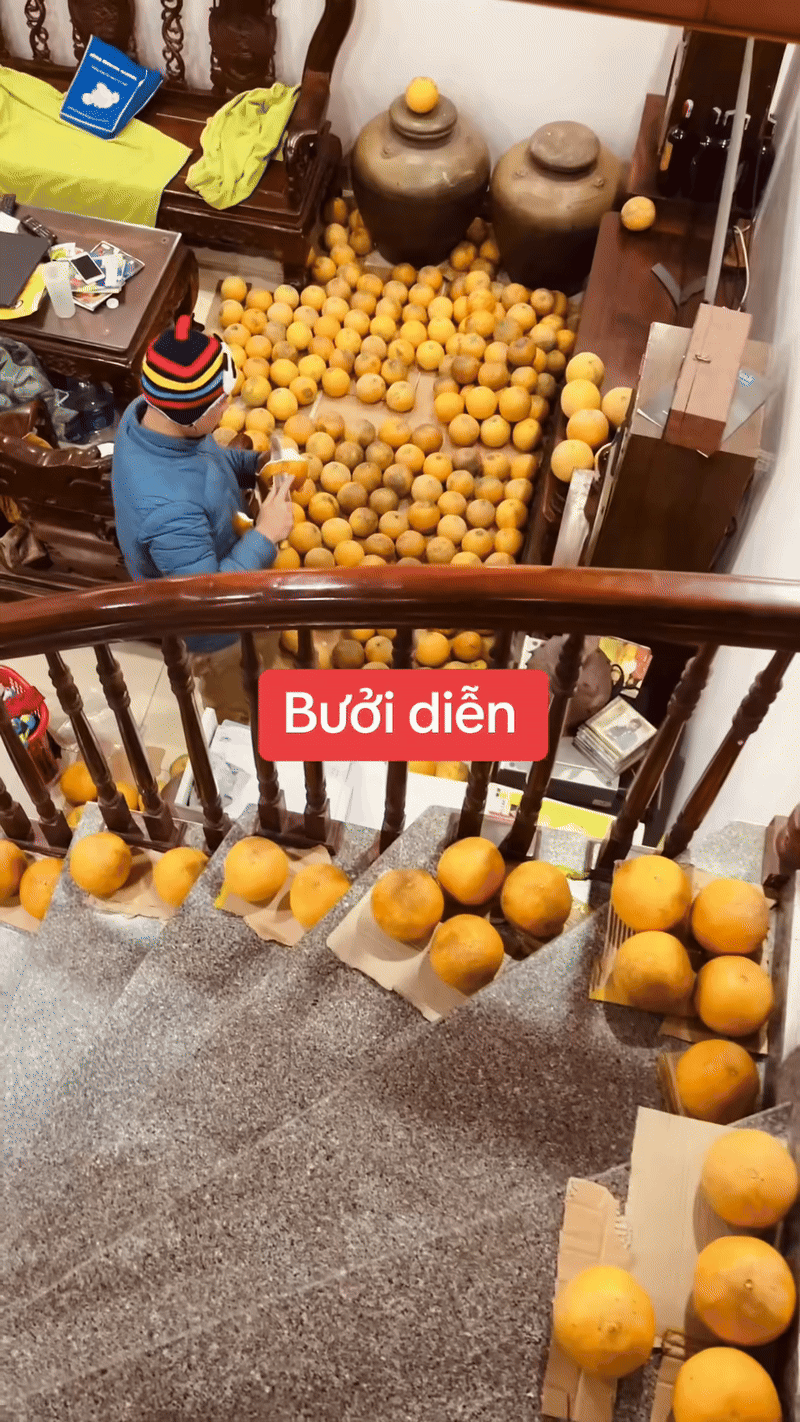 Trung bình nhà miền Bắc ngày Tết: Bưởi diễn chất đầy không gian sống