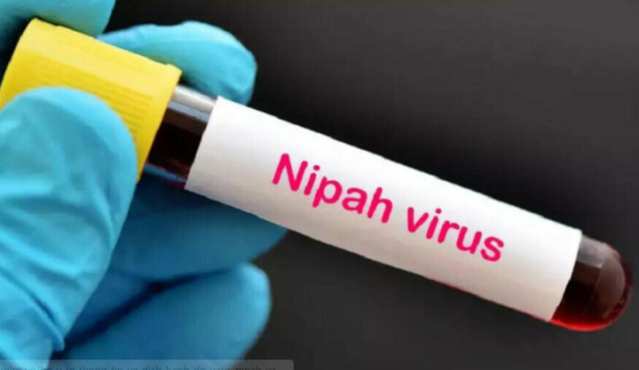 Virus Nipah lây qua đường nào và nguy cơ xâm nhập vào Việt Nam năm 2026 - Ảnh 1.