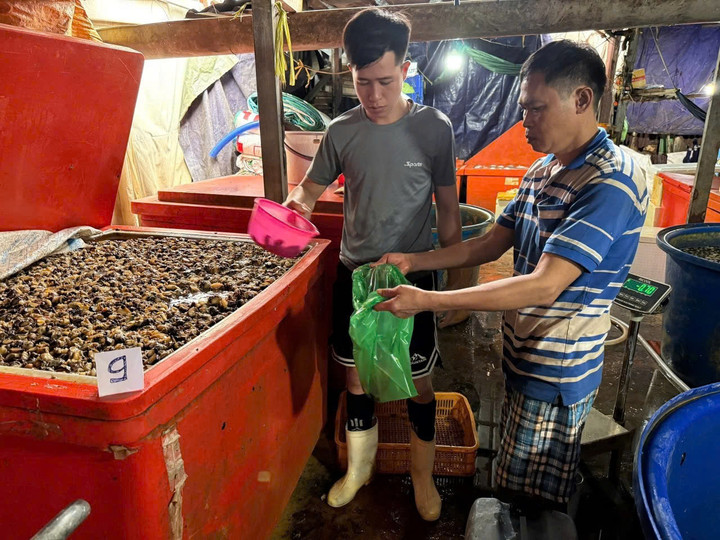 Rùng mình vụ 3 . 000 Tấn thịt ốc bươu ngâm hóa chất độc hại tại TP . HCM - Ảnh 1.