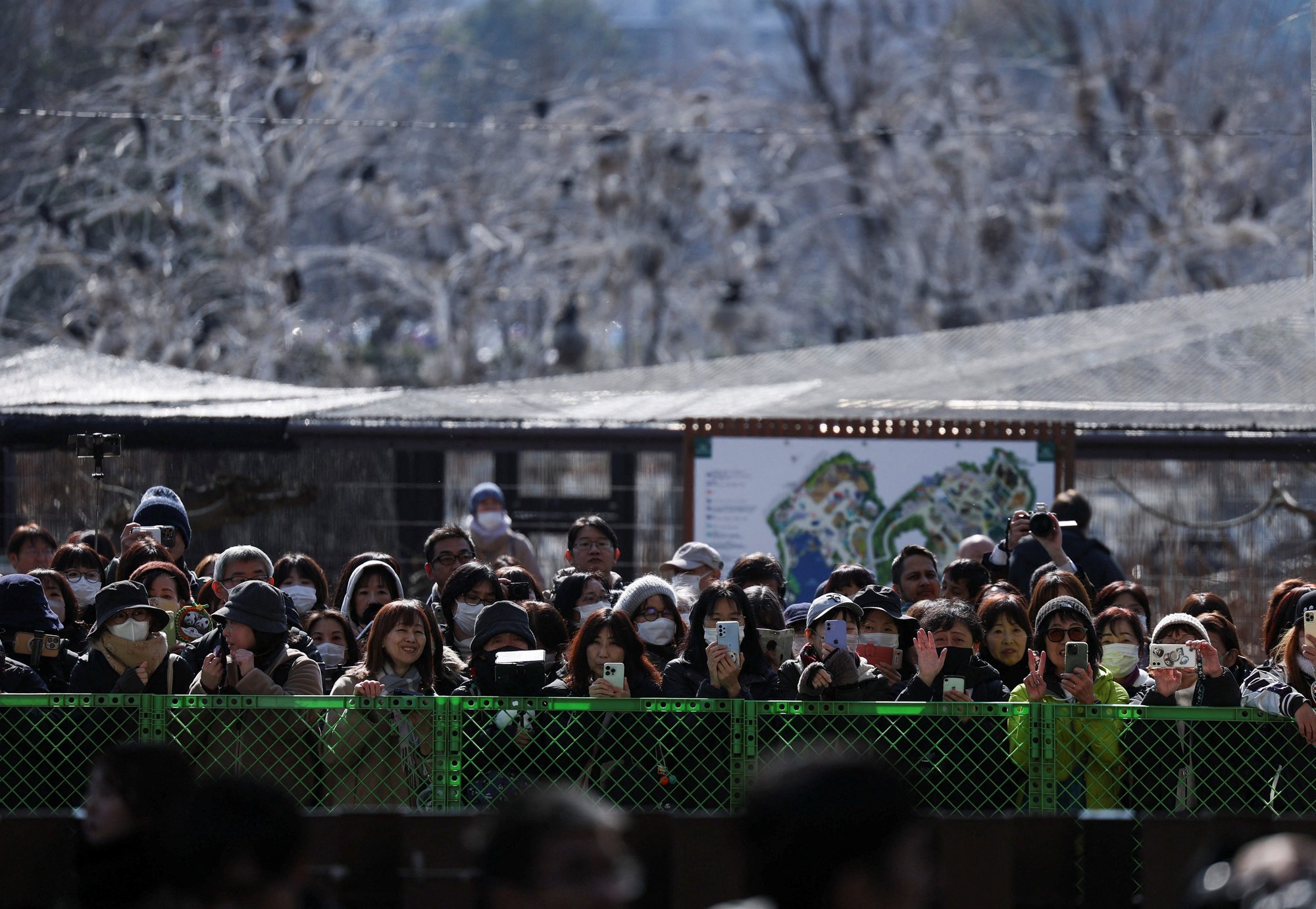 Hàng dài người dân tiễn gấu trúc Nhật Bản trở về Trung Quốc , thiệt hại kinh tế lớn - Ảnh 2.