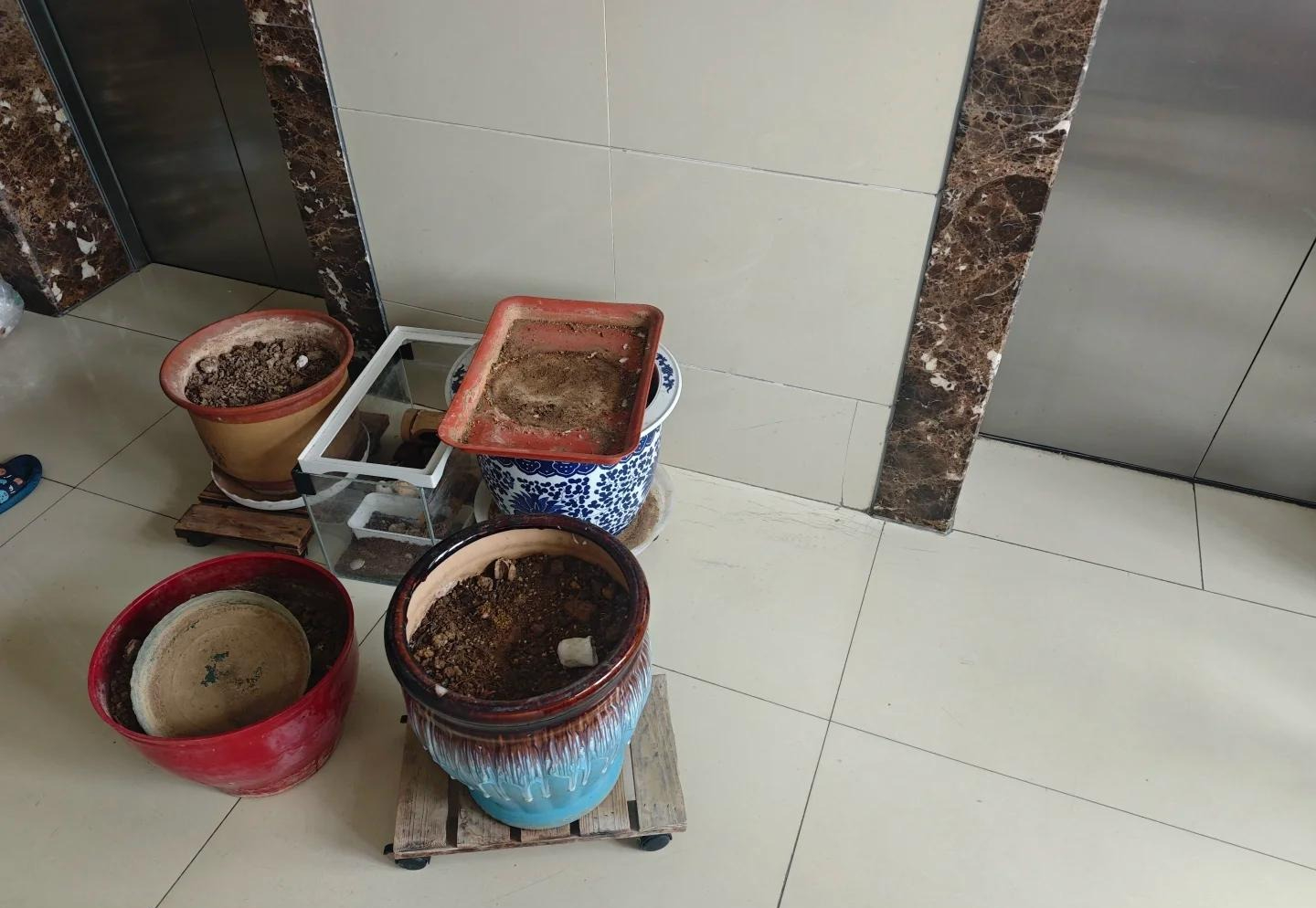 Trong nhà có 10 thứ "nặng vía", không tiễn đi trước Tết thì lận đận cả năm - Ảnh 3. Trong nhà có 10 thứ "nặng vía", không tiễn đi trước Tết thì lận đận cả năm - Ảnh 3.