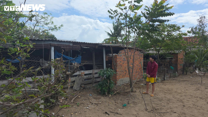 Vụ máy bay rơi tại Đắk Lắk: Lời kể của nam sinh hỗ trợ phi công khi tiếp đất