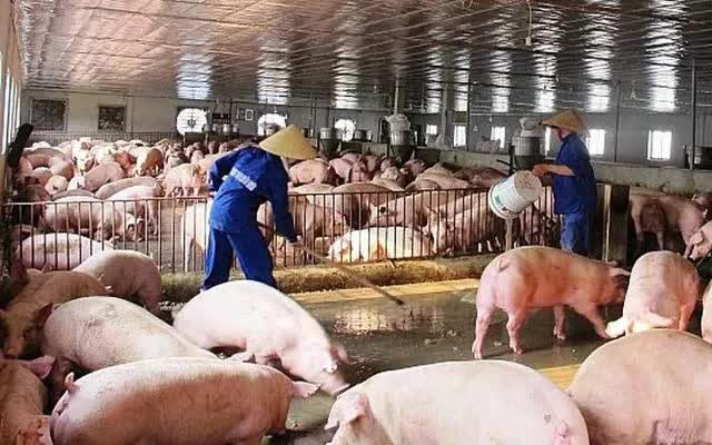 Việt Nam chi gần 2 tỷ USD nhập khẩu thịt - Ảnh 1.