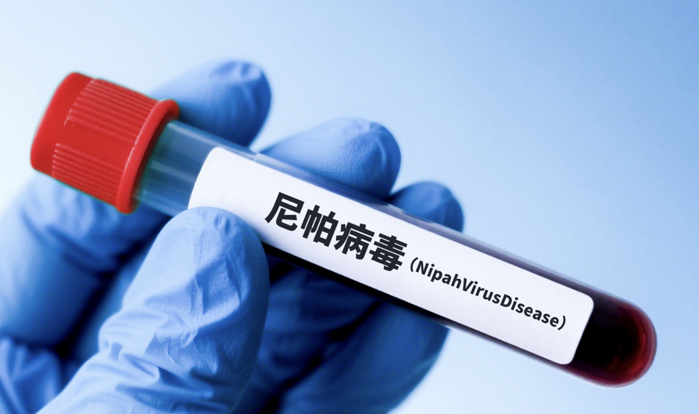 Nghiên cứu vv 116: Thuốc kháng virus Nipah mang lại hy vọng cho sức khỏe cộng đồng - Ảnh 1.