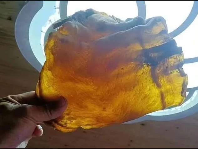 Mở thùng gạo phủ bụi, người đàn ông phát hiện vật thể khô bị lãng quên 50 năm, giá trị ngang căn biệt thự