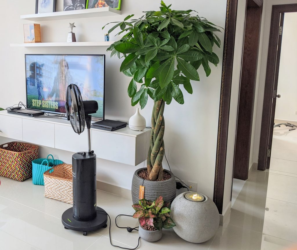 Gần Tết thấy nhà có 6 dấu hiệu này là cuộc đời nở hoa, tài lộc gõ cửa: Đặc biệt là điều số 2!- Ảnh 3.