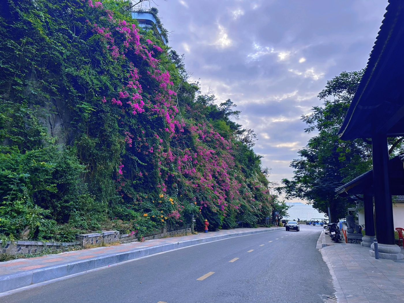 Bãi biển Cát Bà mùa đông: Trải nghiệm yên bình như trời Âu năm 2026 - Ảnh 9.