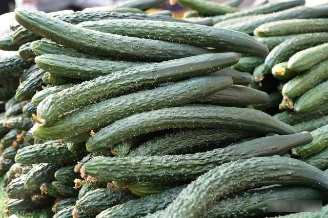 5 loại rau dễ "ngậm hóa chất" nhất chợ, chính người bán cũng không dám ăn, dịp lễ Tết càng nên chọn kỹ khi mua- Ảnh 2.