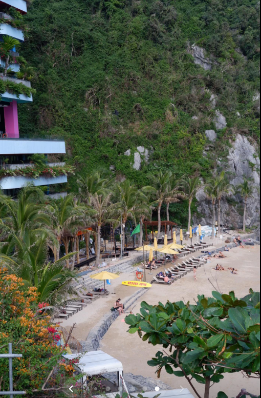 Bãi biển Cát Bà mùa đông: Trải nghiệm yên bình như trời Âu năm 2026 - Ảnh 5.