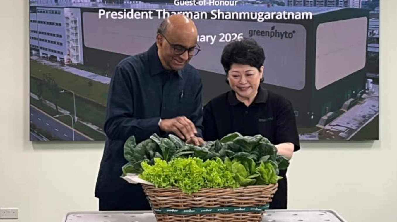 Kỳ tích trang trại trong nhà cao nhất thế giới tại Singapore với công nghệ hiện đại - Ảnh 3.