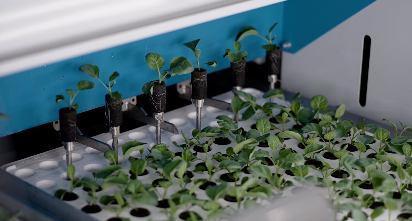 Kỳ tích trang trại trong nhà cao nhất thế giới tại Singapore với công nghệ hiện đại - Ảnh 2.