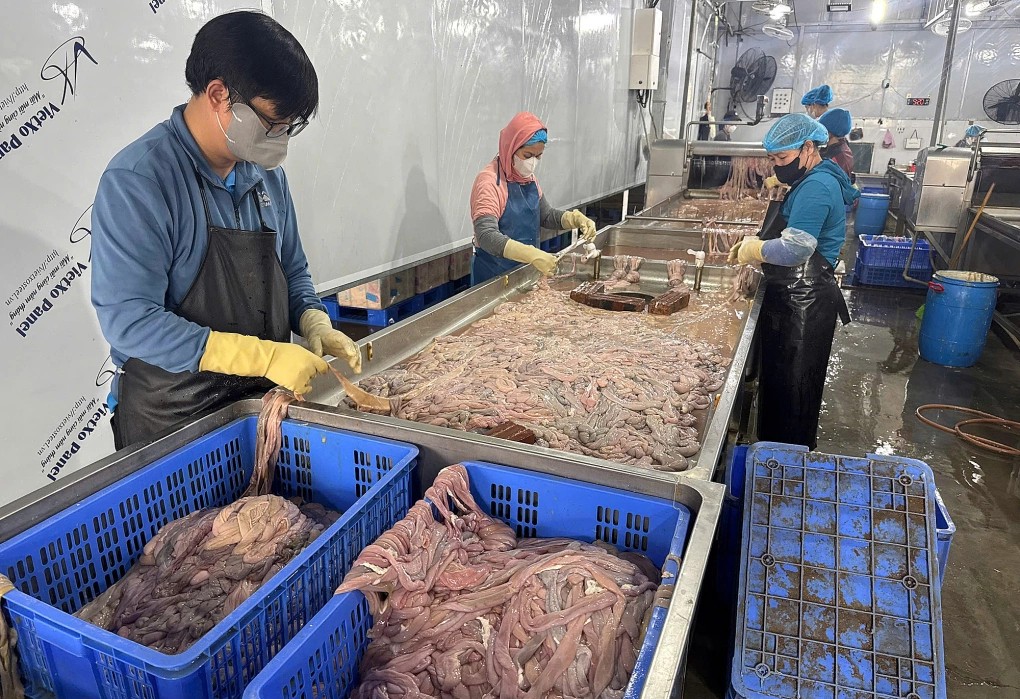 Phát hiện hơn 60 tấn lòng lợn thối chuẩn bị tuồn ra thị trường tại Hà Nội - Ảnh 1.