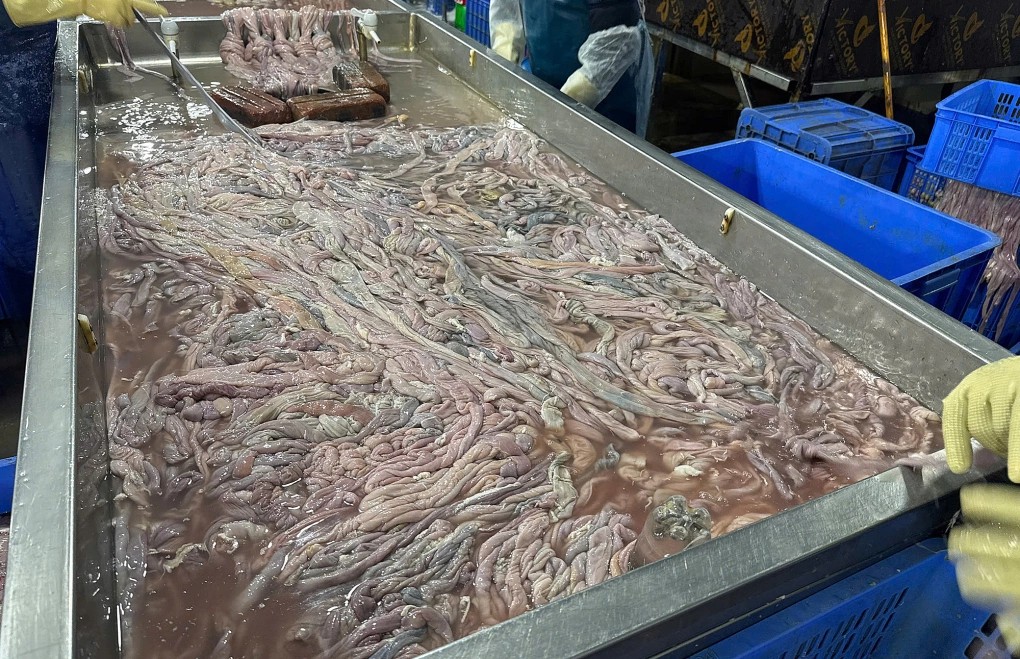 Phát hiện hơn 60 tấn lòng lợn thối chuẩn bị tuồn ra thị trường tại Hà Nội - Ảnh 2.