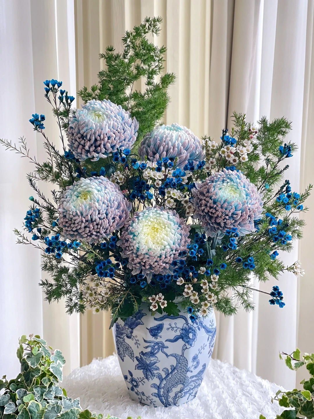 Cúc mẫu đơn: Lòai hoa khổng lồ mang phú qúy cho ngày Tết 2026 - Ảnh 33.