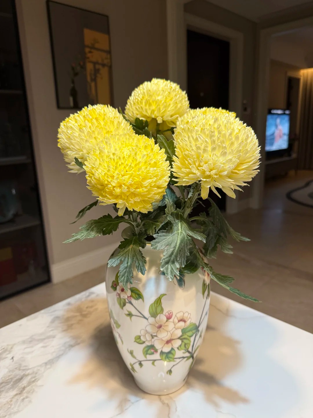 Cúc mẫu đơn: Lòai hoa khổng lồ mang phú qúy cho ngày Tết 2026 - Ảnh 34.