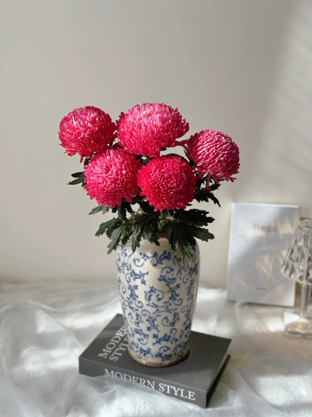 Cúc mẫu đơn: Lòai hoa khổng lồ mang phú qúy cho ngày Tết 2026 - Ảnh 20.