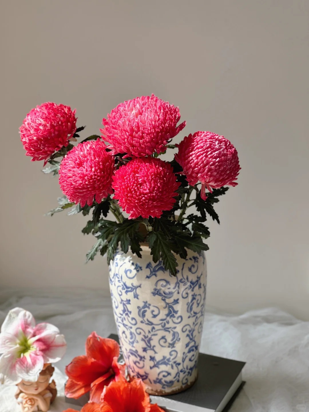 Cúc mẫu đơn: Lòai hoa khổng lồ mang phú qúy cho ngày Tết 2026 - Ảnh 22.