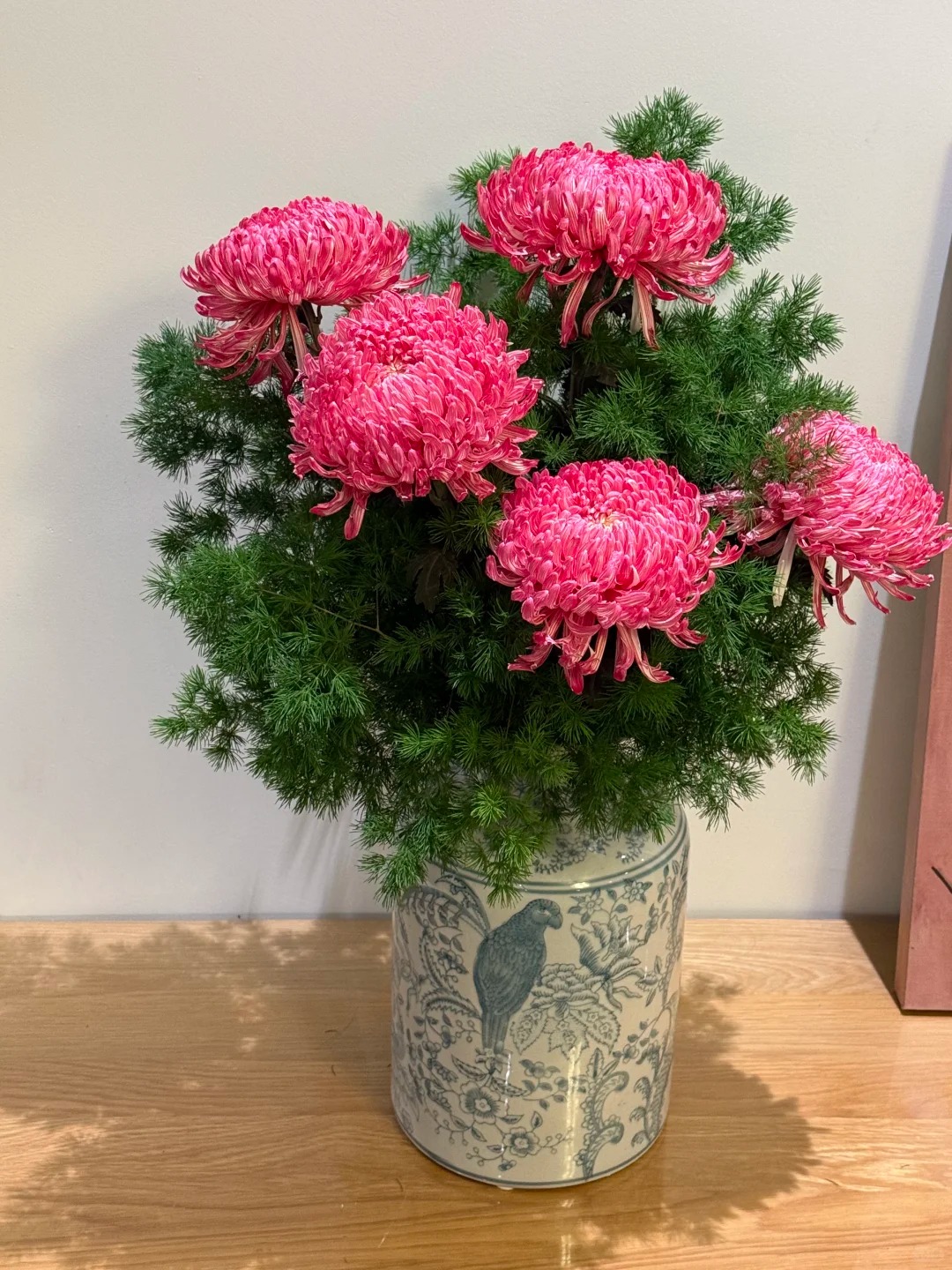 Cúc mẫu đơn: Lòai hoa khổng lồ mang phú qúy cho ngày Tết 2026 - Ảnh 11.