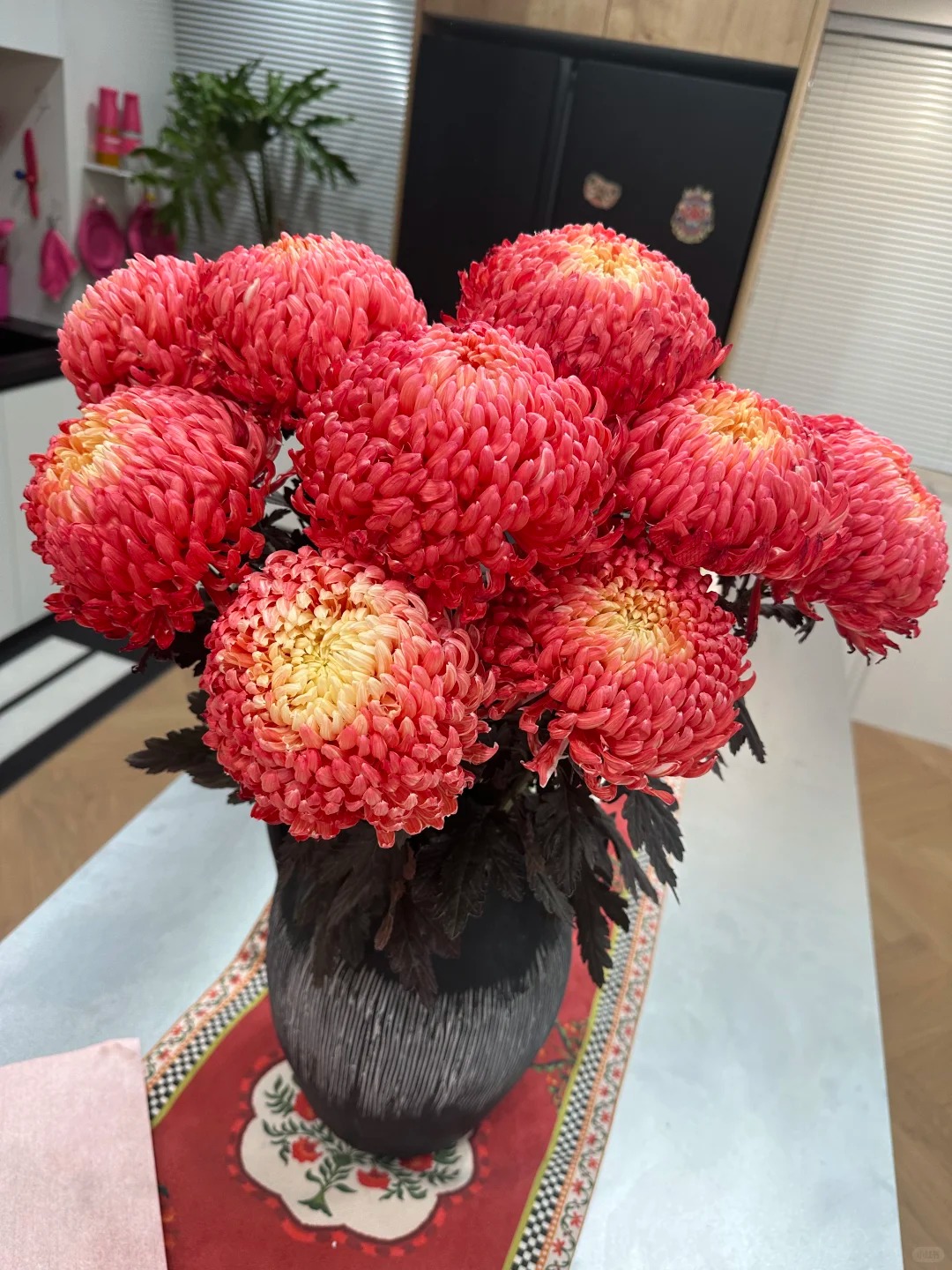 Cúc mẫu đơn: Lòai hoa khổng lồ mang phú qúy cho ngày Tết 2026 - Ảnh 10.