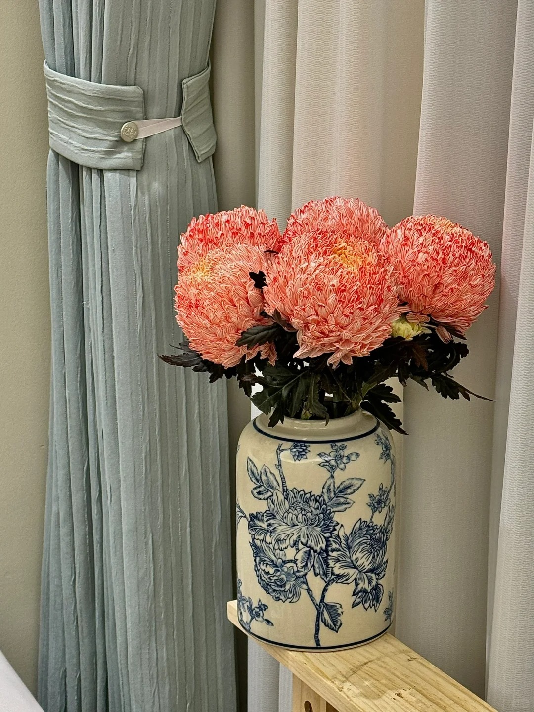 Cúc mẫu đơn: Lòai hoa khổng lồ mang phú qúy cho ngày Tết 2026 - Ảnh 9.