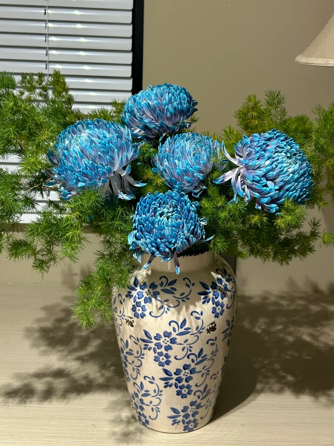 Cúc mẫu đơn: Lòai hoa khổng lồ mang phú qúy cho ngày Tết 2026 - Ảnh 16.