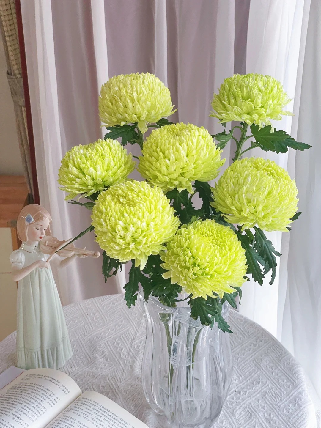 Cúc mẫu đơn: Lòai hoa khổng lồ mang phú qúy cho ngày Tết 2026 - Ảnh 2.