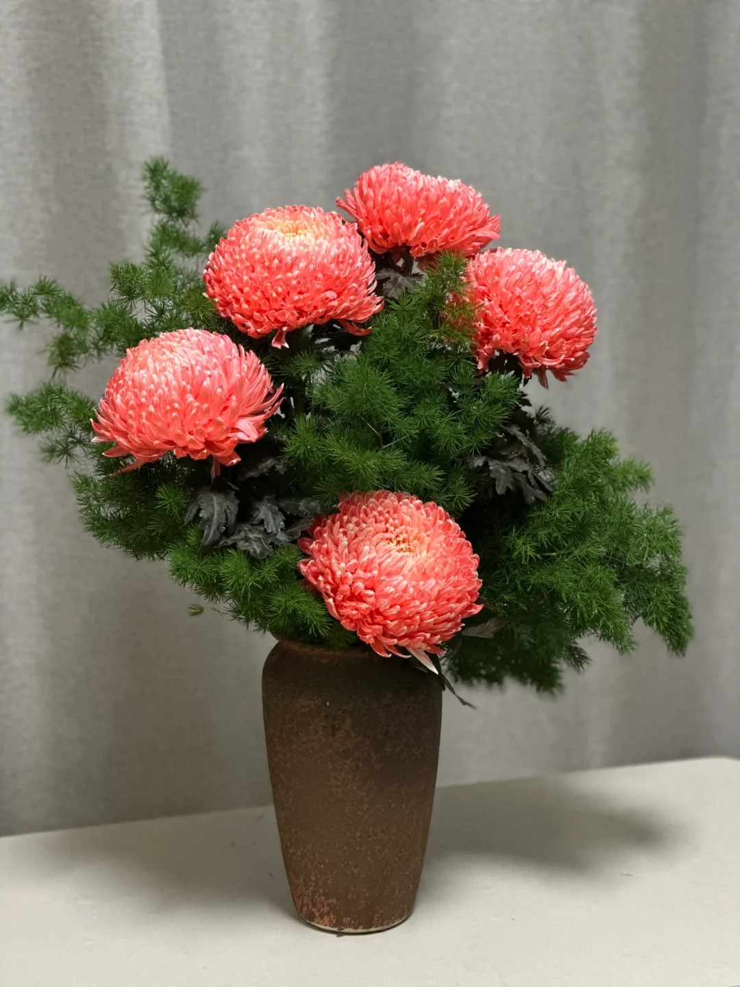 Cúc mẫu đơn: Lòai hoa khổng lồ mang phú qúy cho ngày Tết 2026 - Ảnh 32.