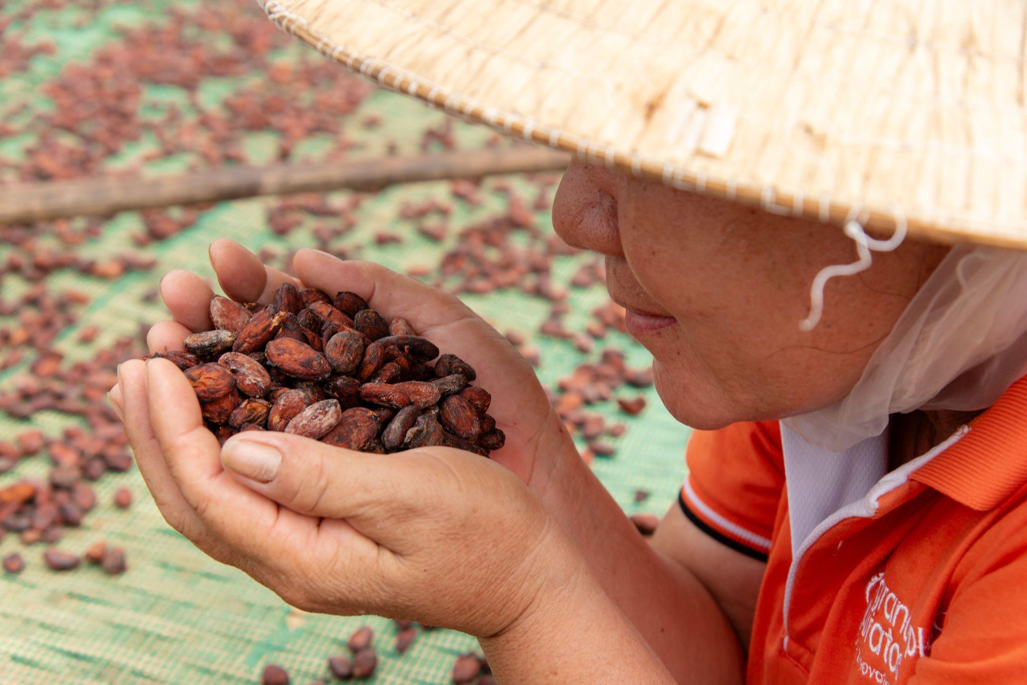 Sô-cô-la 60DAYS - Tinh hoa từ vùng đất ngọt lành - Ảnh 2.