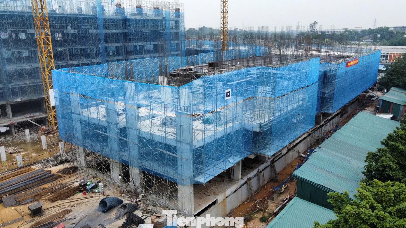 Hướng dẫn xác nhận thu nhập mua nhà ở xã hội cho lao động tự do năm 2026 - Ảnh 1.