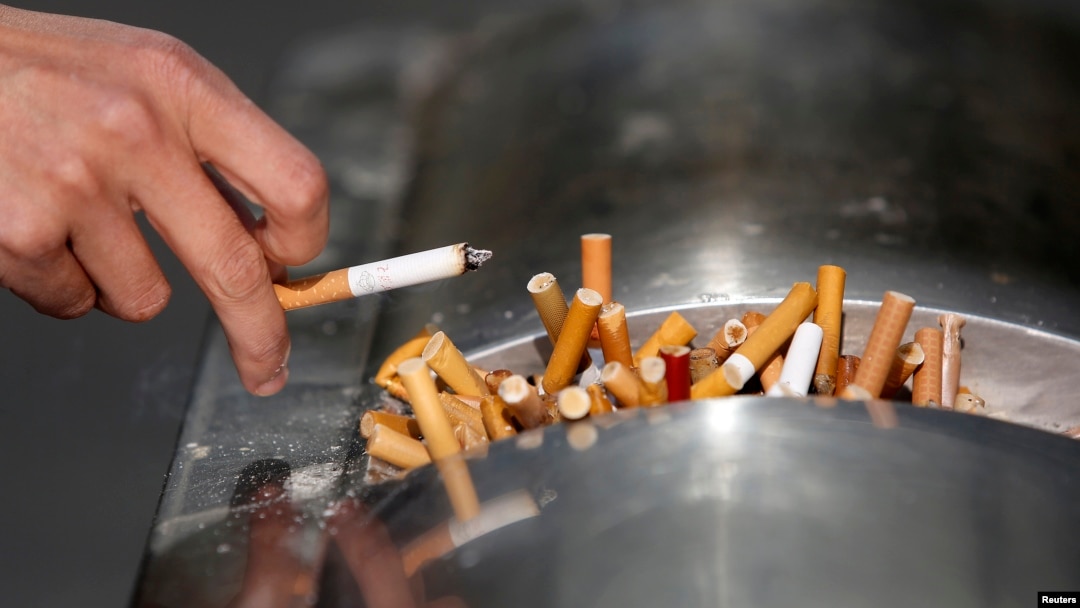 Tàn thuốc lá thành siêu tụ điện: Phát minh Trung Quốc làm rung chuyển ngành năng lượng 2026 - Ảnh 2.