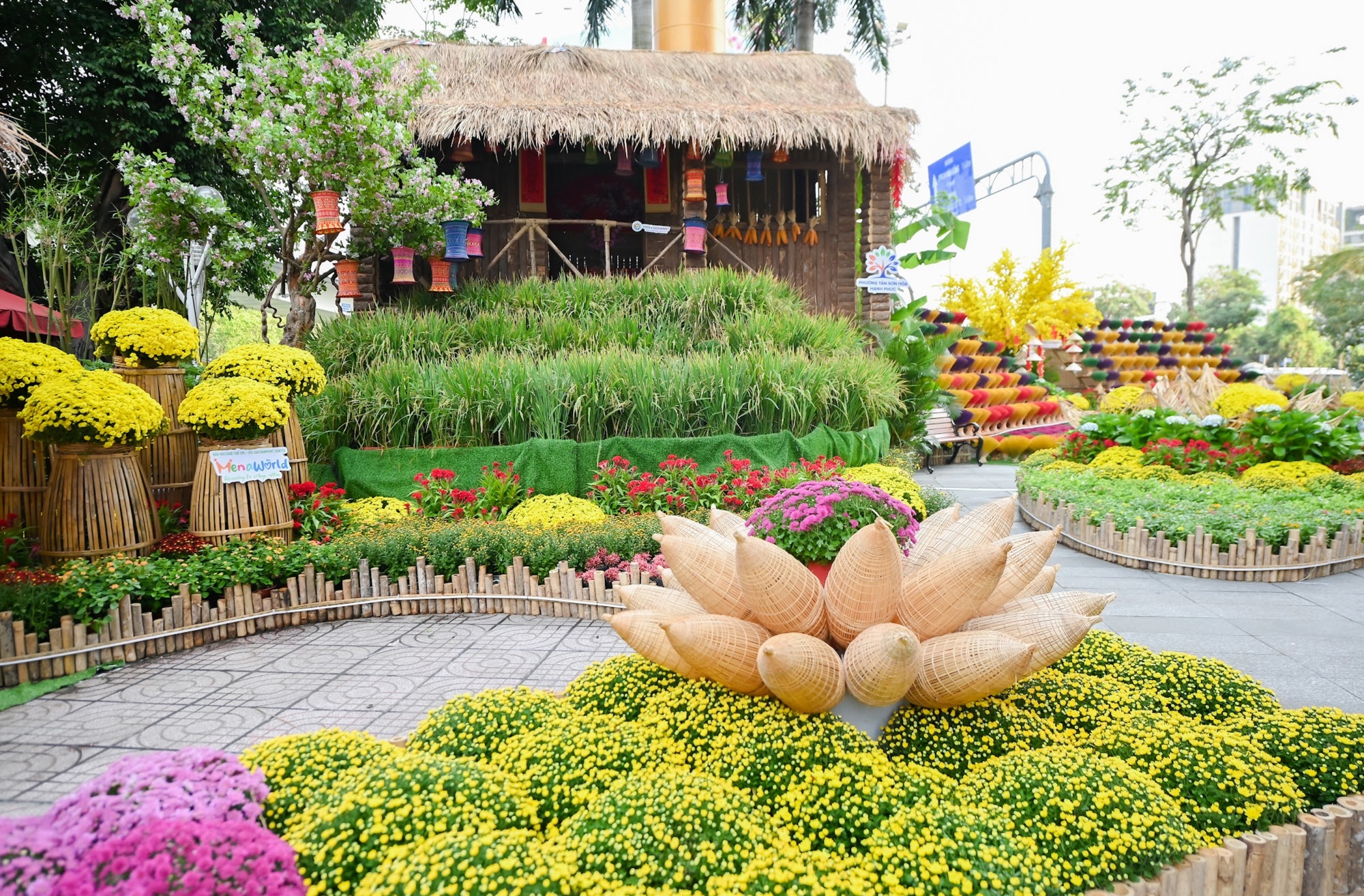 Đường hoa Tân Sơn Hòa 2026: Điểm đến văn hóa độc đáo trong dịp Tết - Ảnh 3.