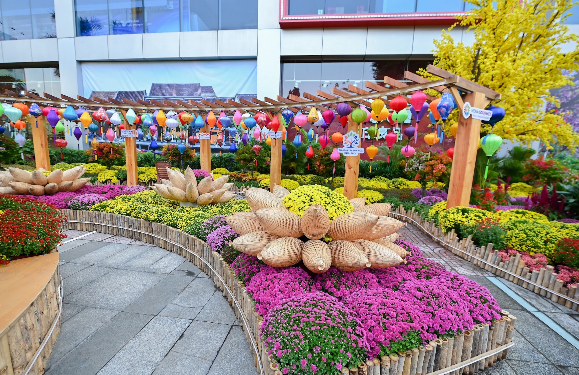 Đường hoa Tân Sơn Hòa 2026: Điểm đến văn hóa độc đáo trong dịp Tết - Ảnh 4.