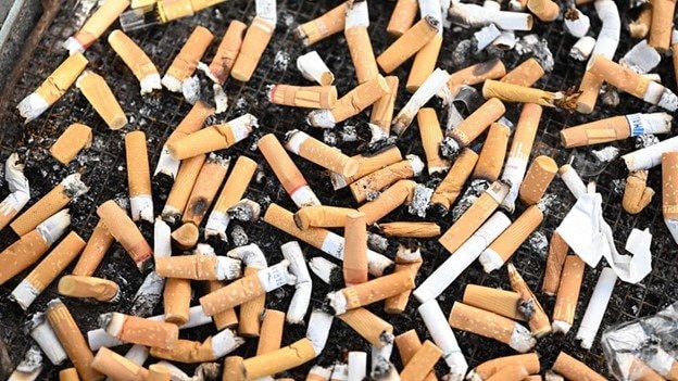 Tàn thuốc lá thành siêu tụ điện: Phát minh Trung Quốc làm rung chuyển ngành năng lượng 2026 - Ảnh 1.